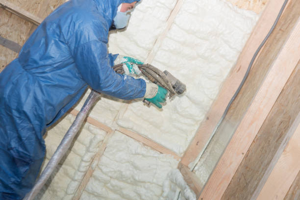 Best Insulation Removal  in Jemison, AL